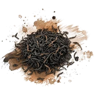 Thé noir