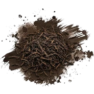 Thé pu-erh